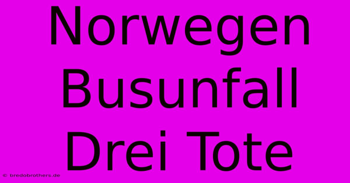 Norwegen Busunfall Drei Tote