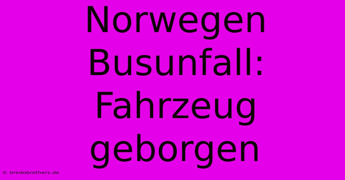 Norwegen Busunfall: Fahrzeug Geborgen