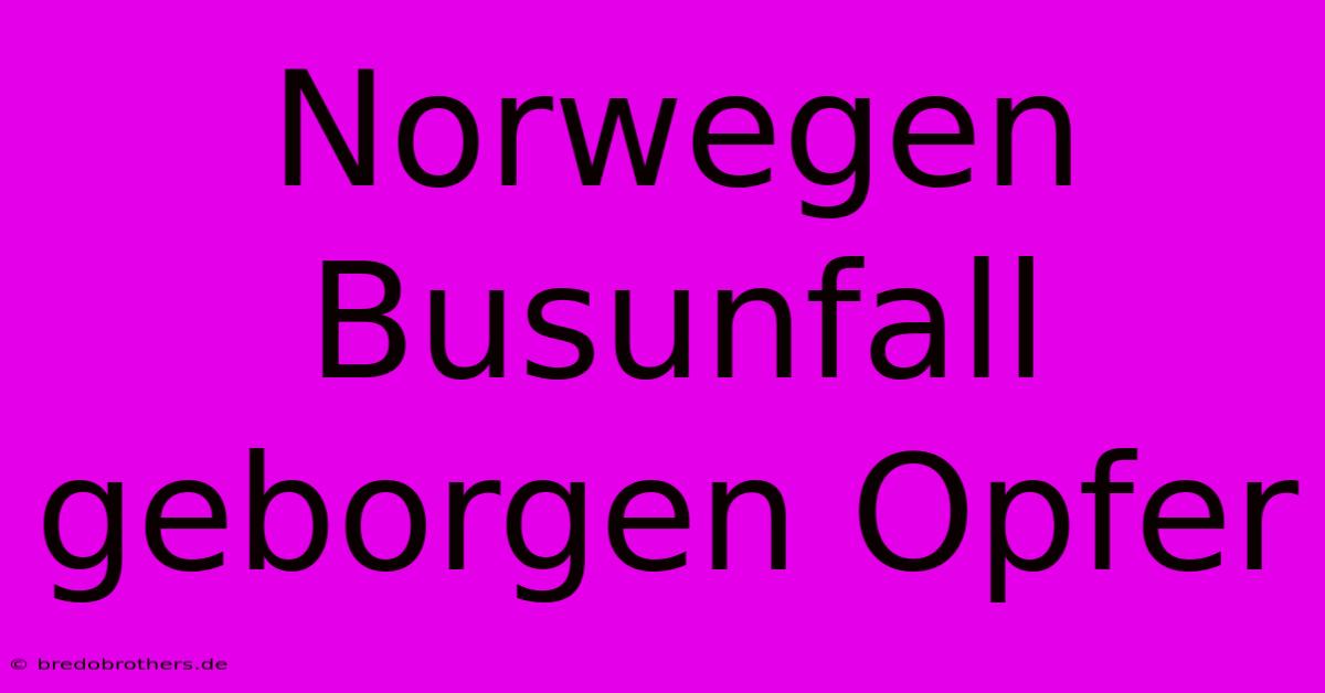 Norwegen Busunfall Geborgen Opfer