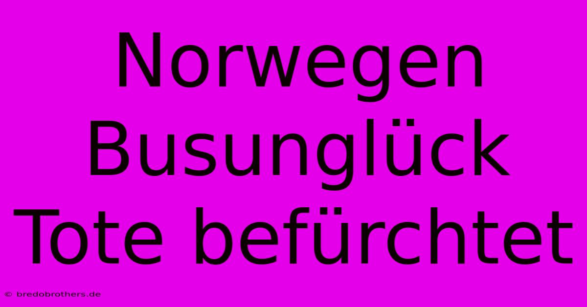 Norwegen Busunglück Tote Befürchtet