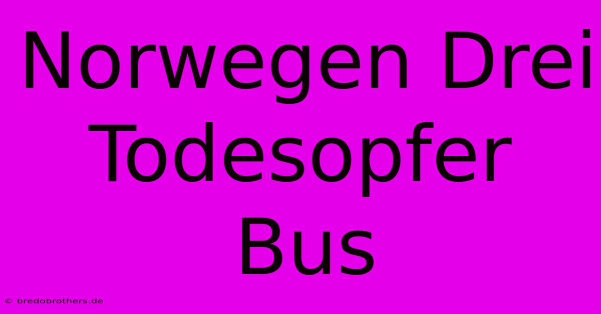 Norwegen Drei Todesopfer Bus