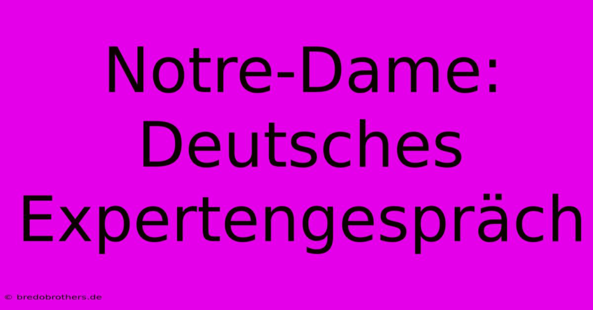 Notre-Dame: Deutsches Expertengespräch