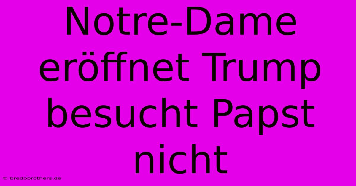 Notre-Dame Eröffnet Trump Besucht Papst Nicht