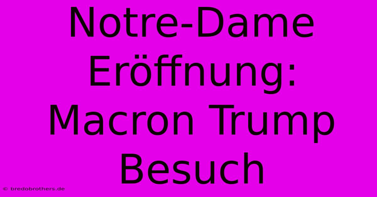 Notre-Dame Eröffnung: Macron Trump Besuch