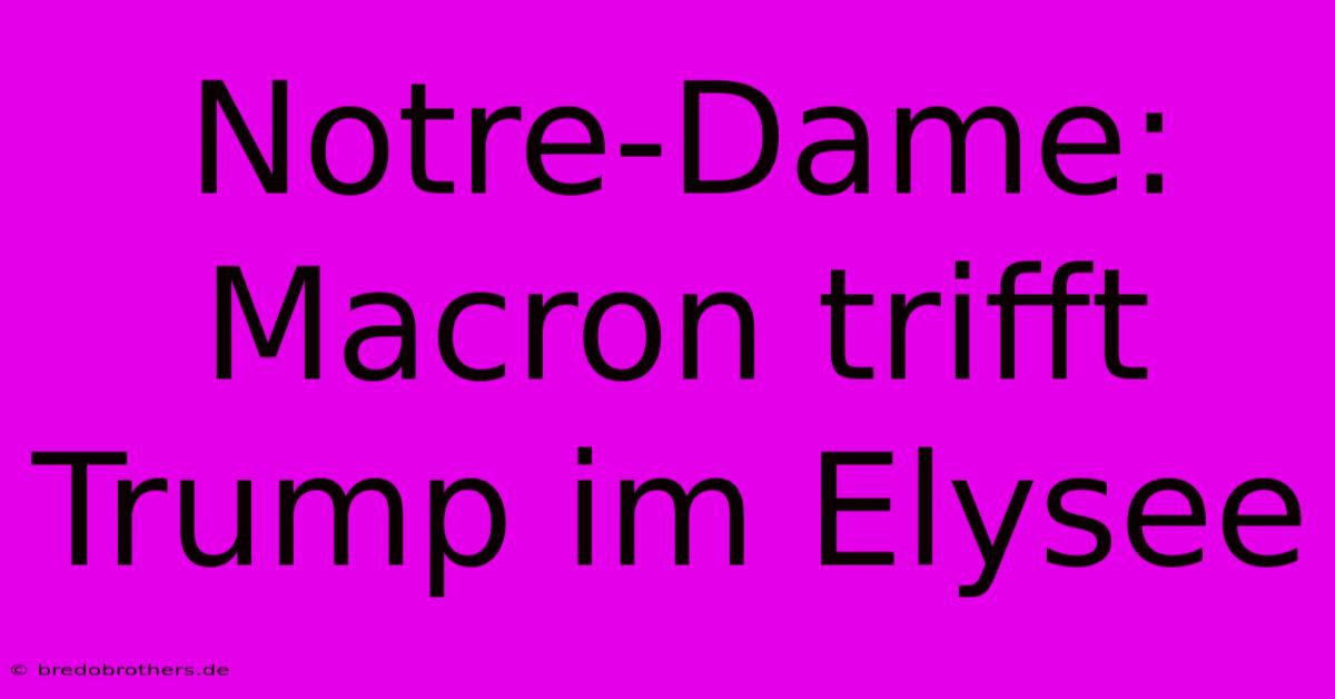 Notre-Dame: Macron Trifft Trump Im Elysee