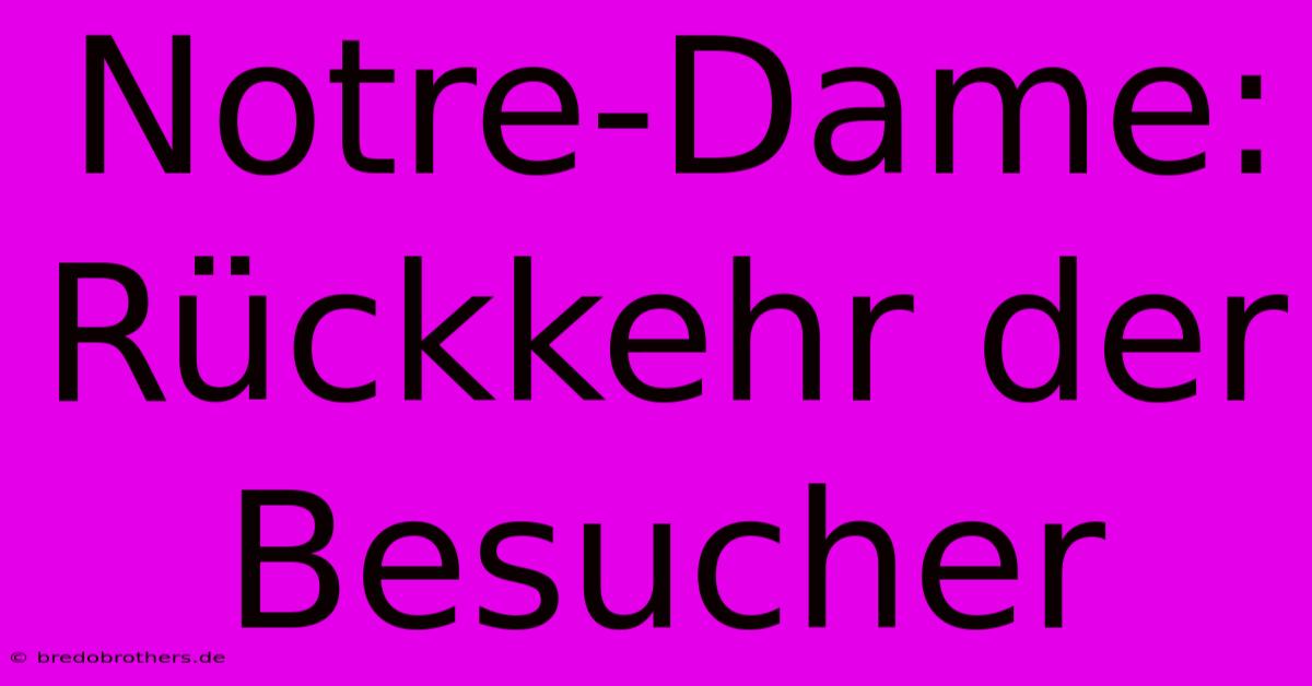 Notre-Dame: Rückkehr Der Besucher