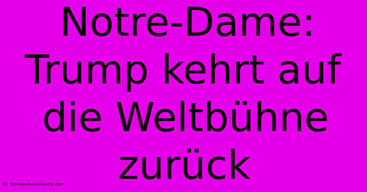 Notre-Dame: Trump Kehrt Auf Die Weltbühne Zurück