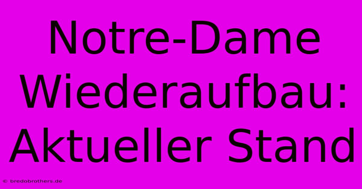 Notre-Dame Wiederaufbau: Aktueller Stand