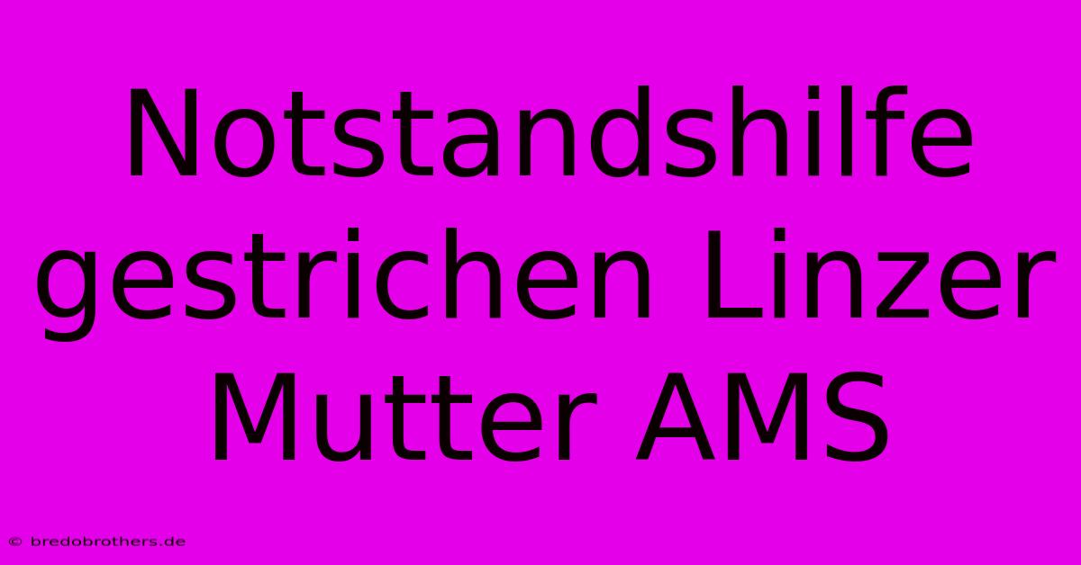 Notstandshilfe Gestrichen Linzer Mutter AMS