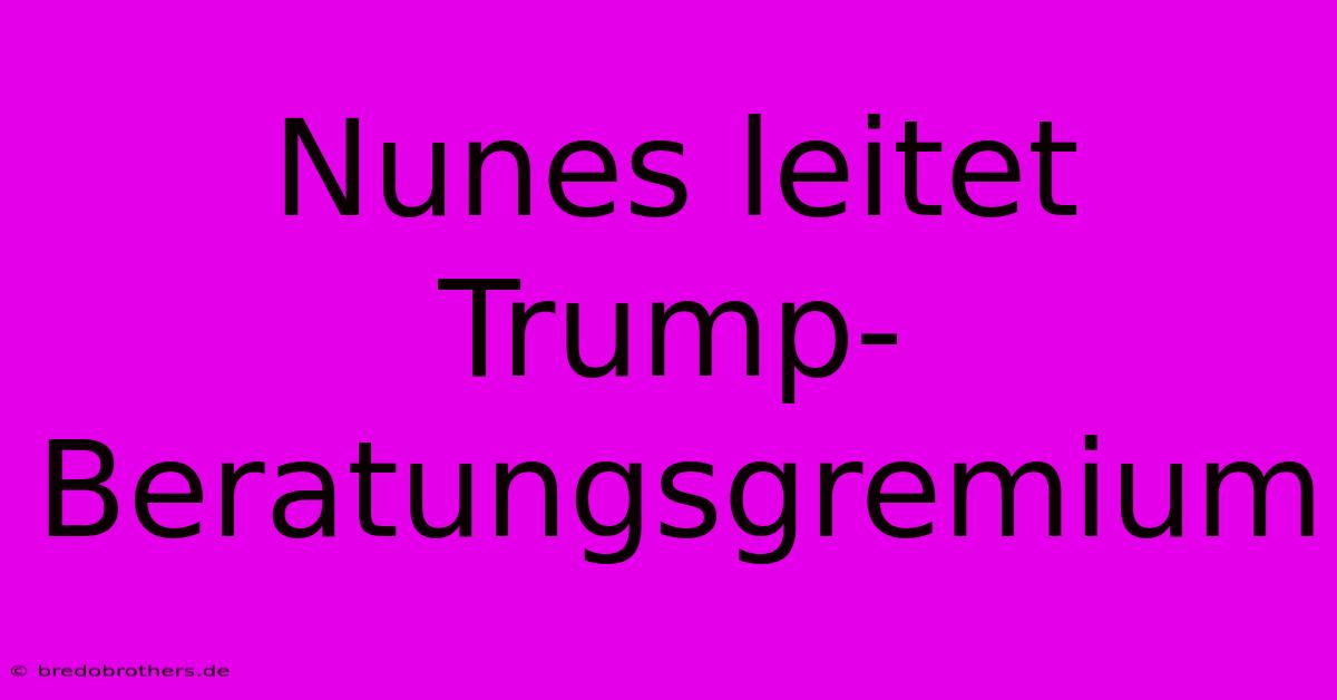 Nunes Leitet Trump-Beratungsgremium