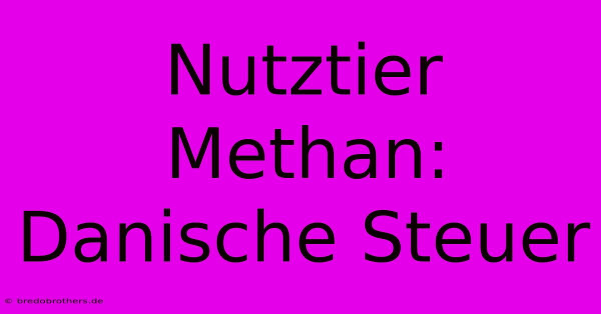 Nutztier Methan: Danische Steuer