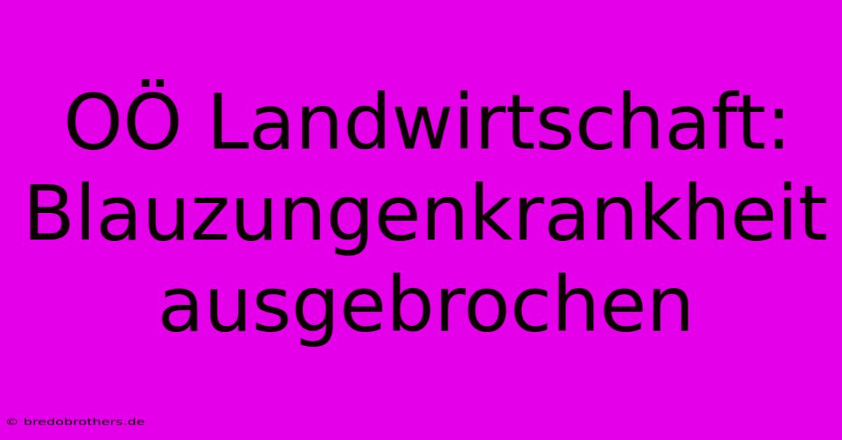 OÖ Landwirtschaft: Blauzungenkrankheit Ausgebrochen