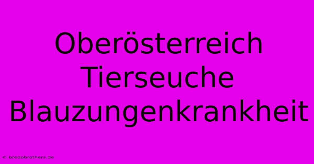 Oberösterreich Tierseuche Blauzungenkrankheit