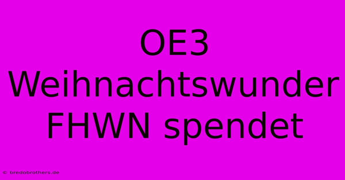 OE3 Weihnachtswunder FHWN Spendet