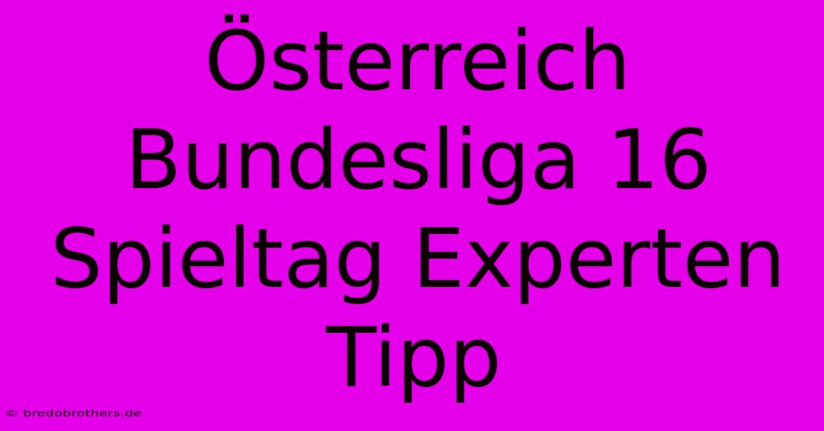 Österreich Bundesliga 16 Spieltag Experten Tipp