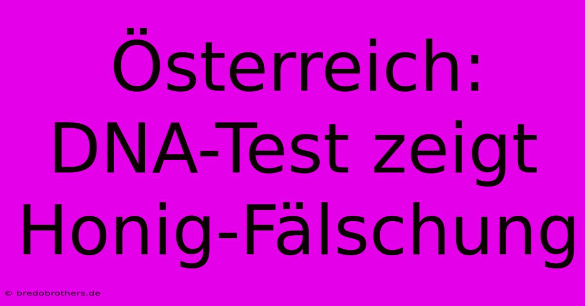 Österreich: DNA-Test Zeigt Honig-Fälschung