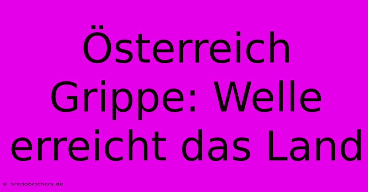 Österreich Grippe: Welle Erreicht Das Land