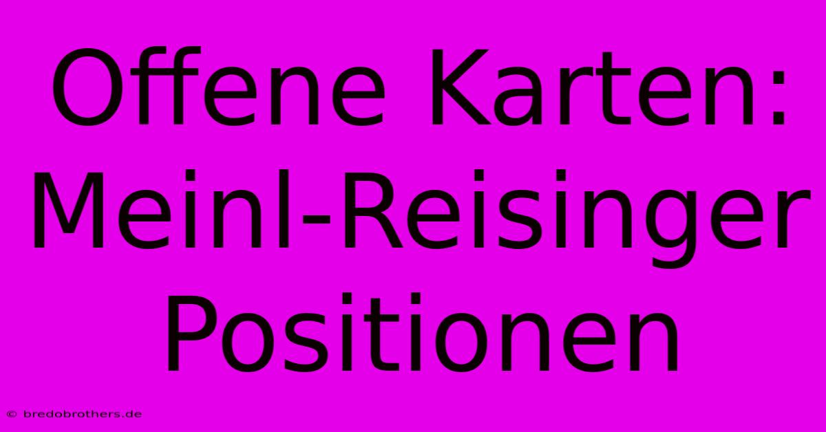 Offene Karten: Meinl-Reisinger Positionen