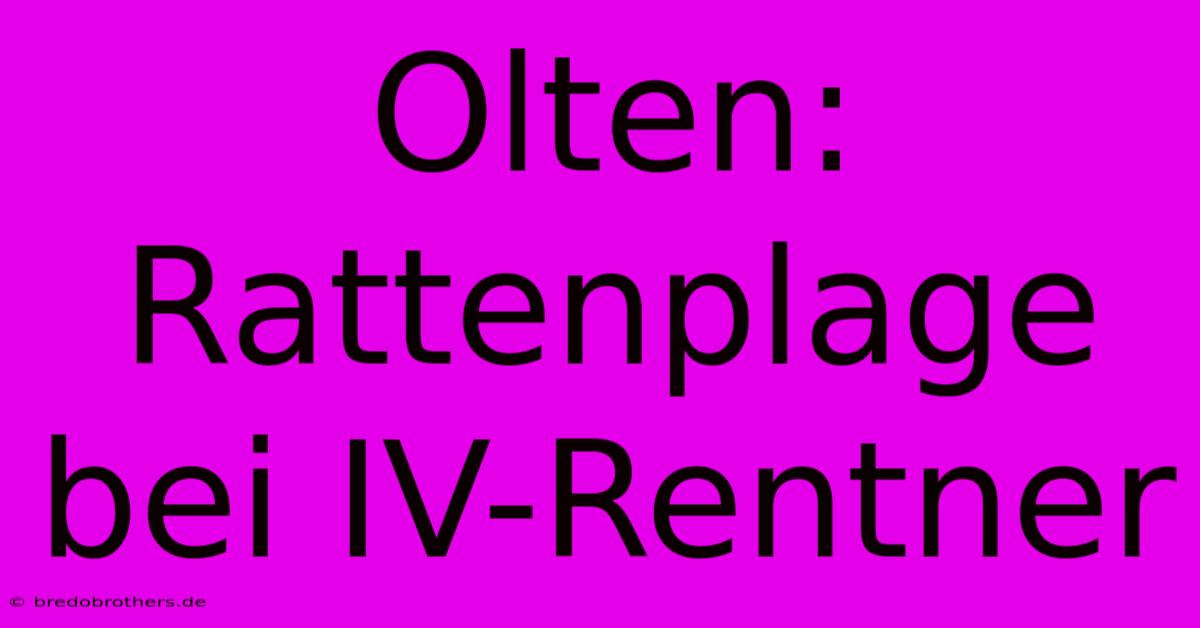 Olten: Rattenplage Bei IV-Rentner