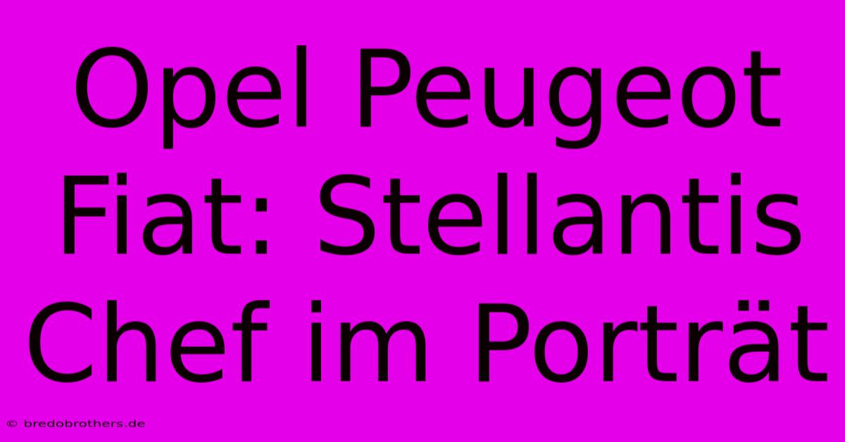 Opel Peugeot Fiat: Stellantis Chef Im Porträt