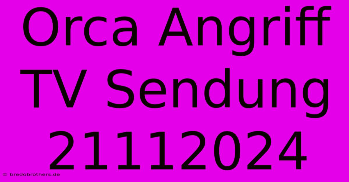 Orca Angriff TV Sendung 21112024