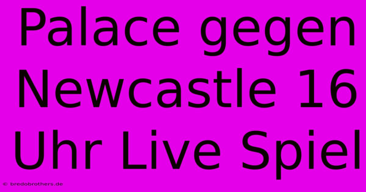 Palace Gegen Newcastle 16 Uhr Live Spiel