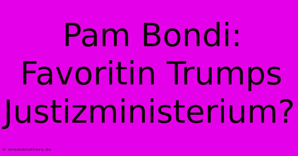 Pam Bondi: Favoritin Trumps Justizministerium?