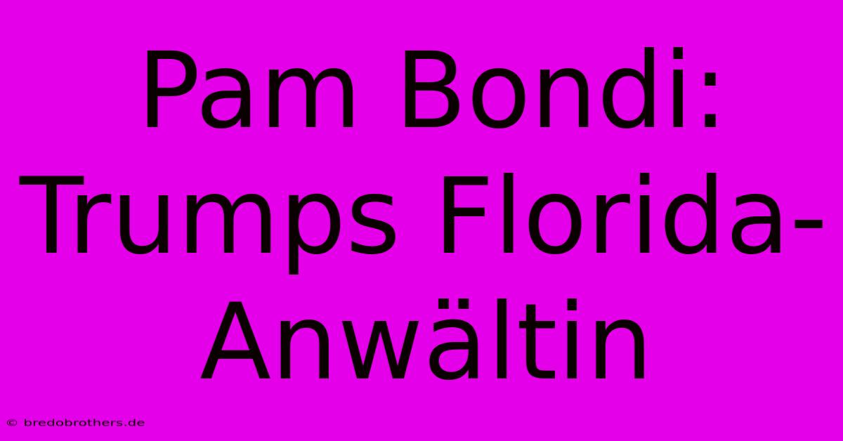 Pam Bondi: Trumps Florida-Anwältin