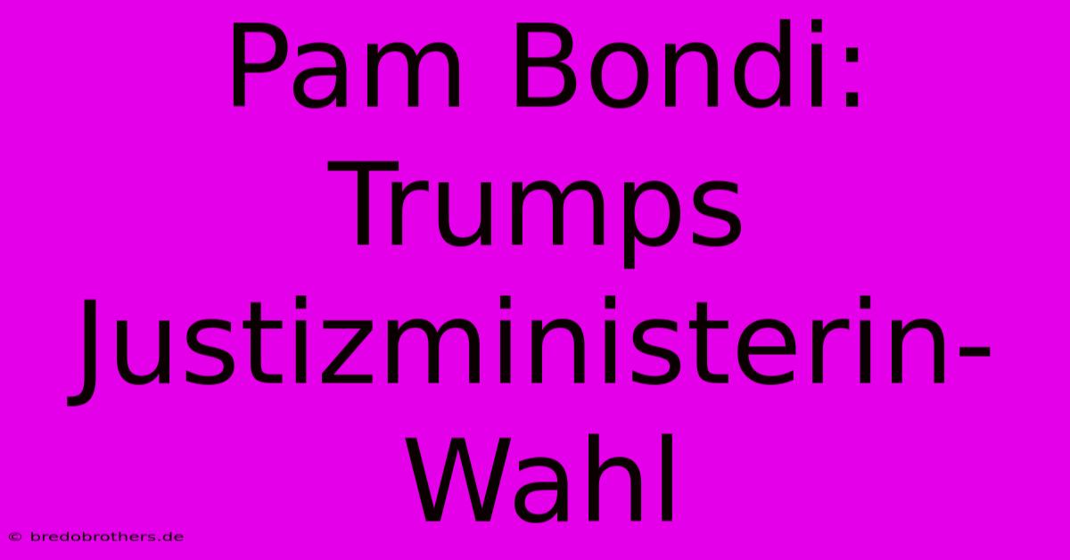 Pam Bondi:  Trumps Justizministerin-Wahl