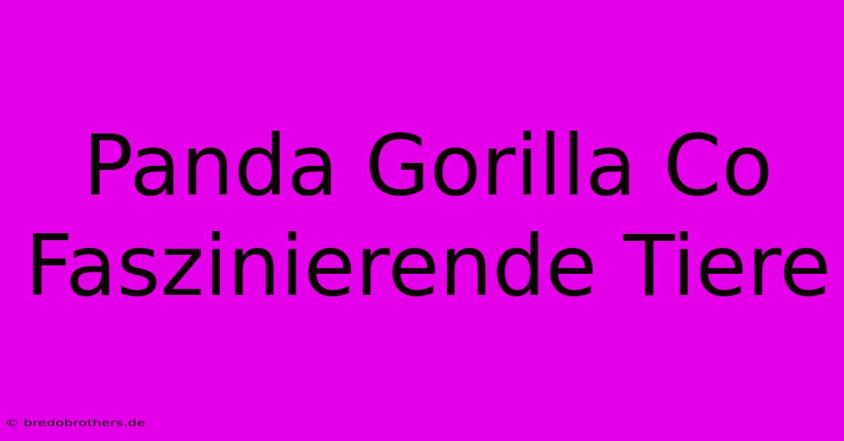 Panda Gorilla Co  Faszinierende Tiere