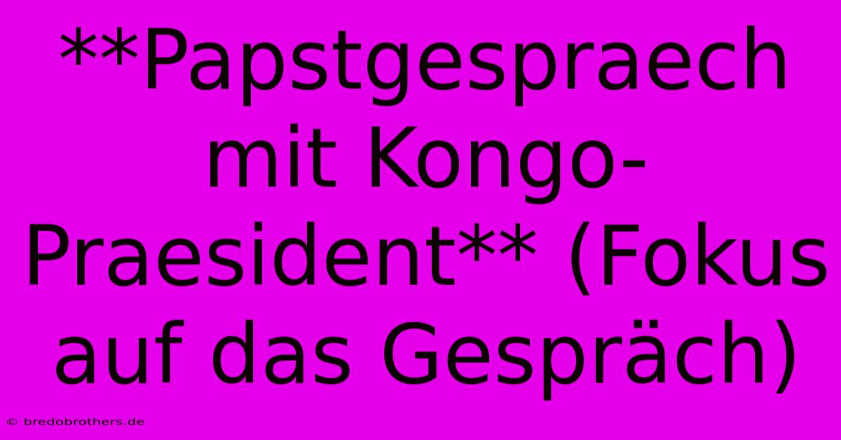 **Papstgespraech Mit Kongo-Praesident** (Fokus Auf Das Gespräch)