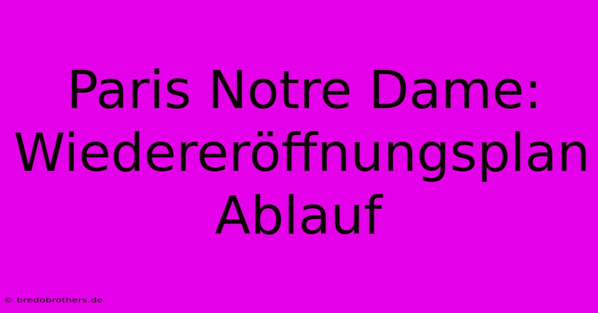 Paris Notre Dame: Wiedereröffnungsplan Ablauf