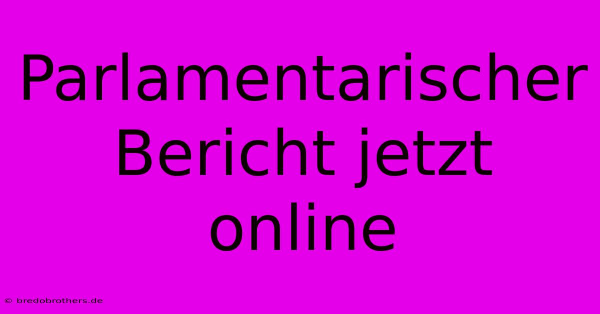 Parlamentarischer Bericht Jetzt Online