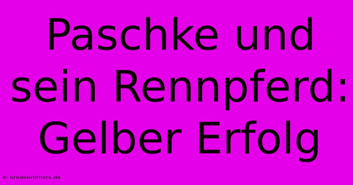 Paschke Und Sein Rennpferd: Gelber Erfolg