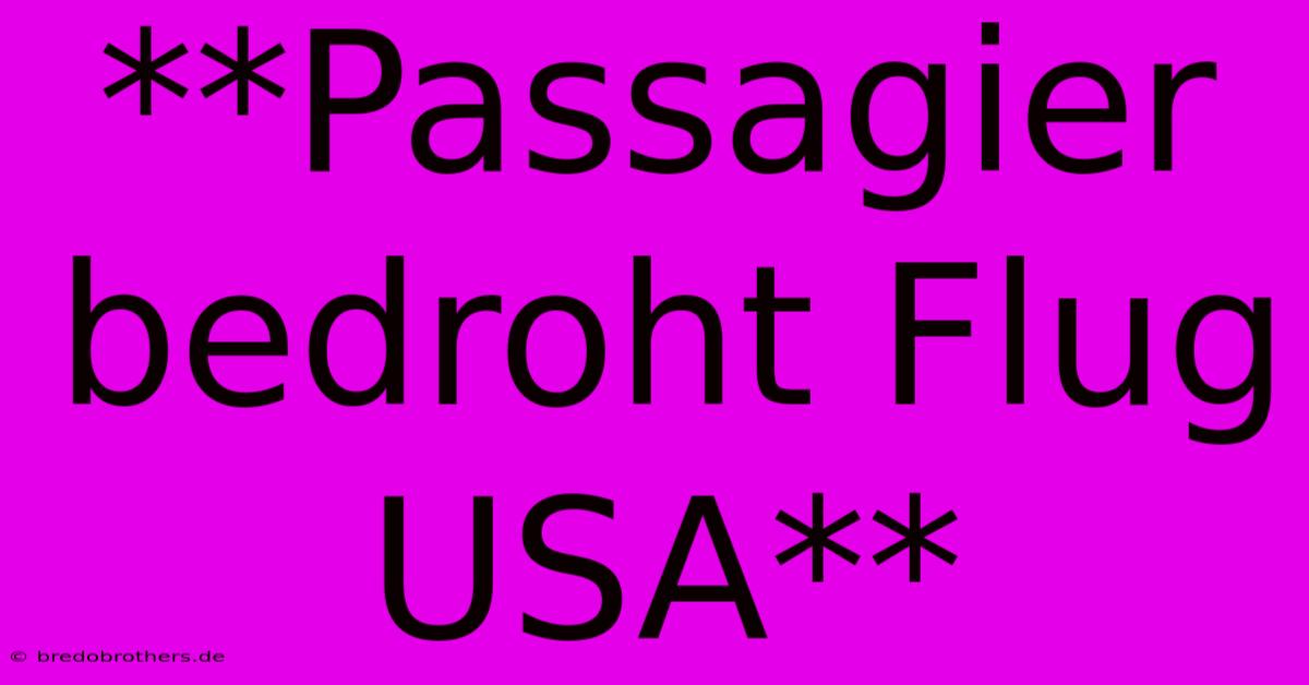 **Passagier Bedroht Flug USA**