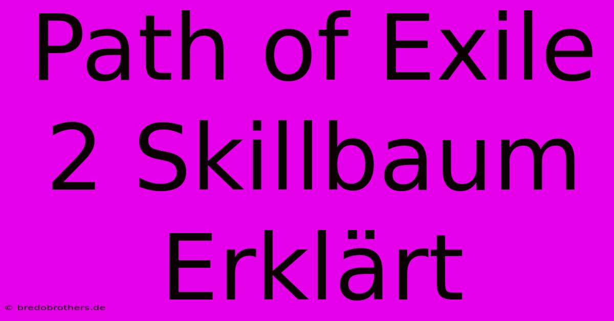 Path Of Exile 2 Skillbaum Erklärt