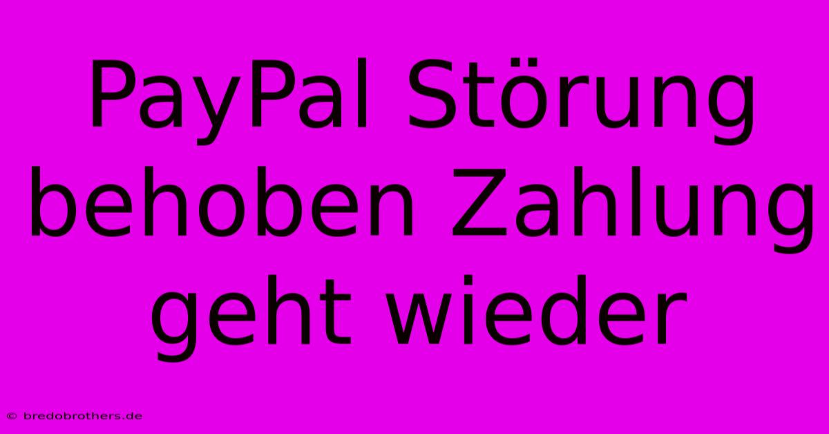 PayPal Störung Behoben Zahlung Geht Wieder