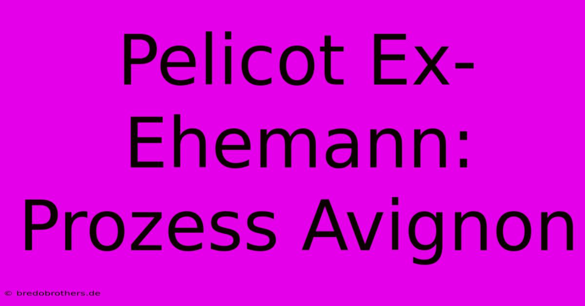 Pelicot Ex-Ehemann: Prozess Avignon