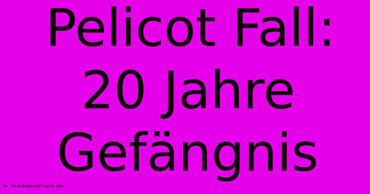 Pelicot Fall: 20 Jahre Gefängnis