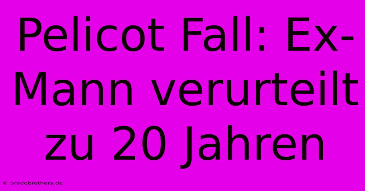 Pelicot Fall: Ex-Mann Verurteilt Zu 20 Jahren