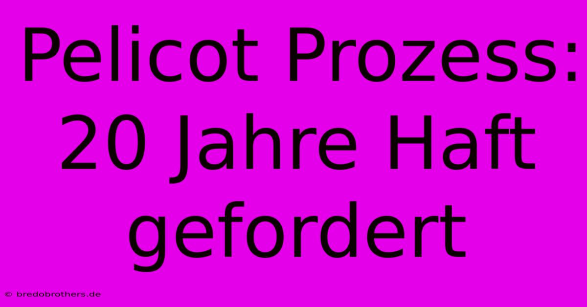 Pelicot Prozess: 20 Jahre Haft Gefordert