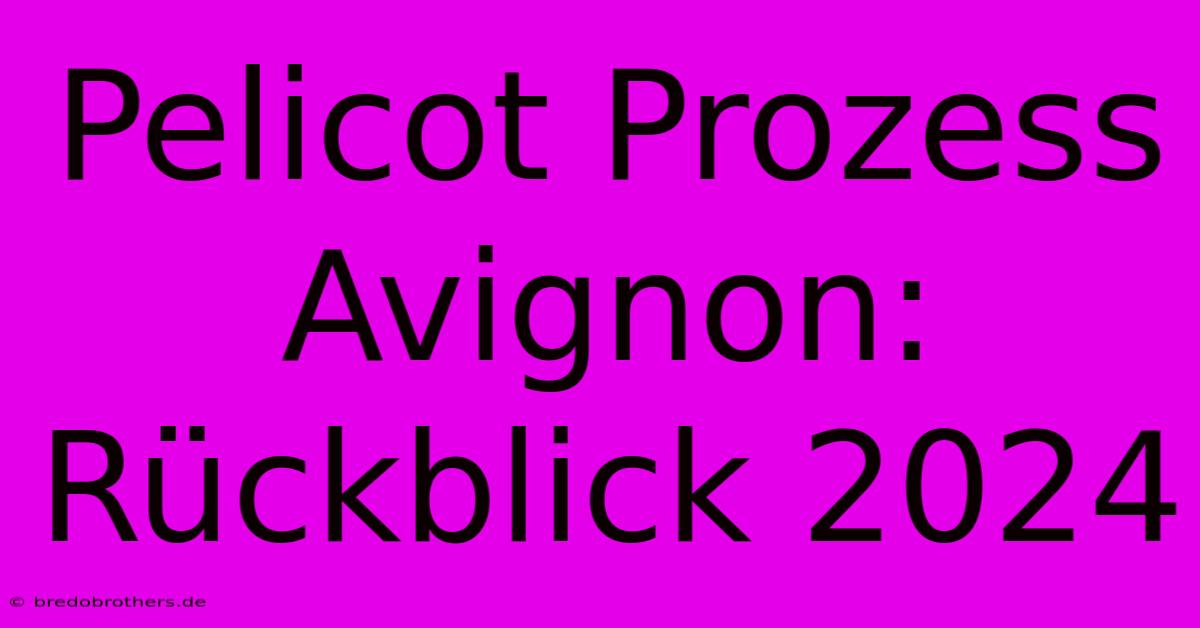 Pelicot Prozess Avignon: Rückblick 2024