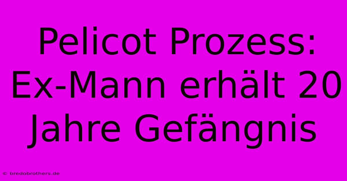 Pelicot Prozess: Ex-Mann Erhält 20 Jahre Gefängnis