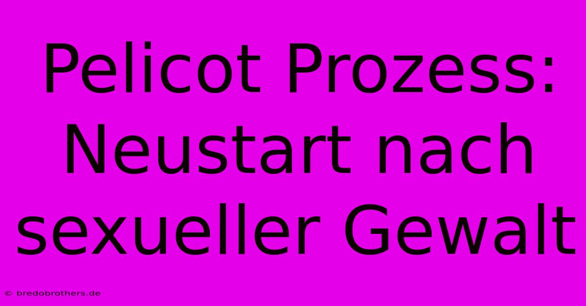 Pelicot Prozess:  Neustart Nach Sexueller Gewalt