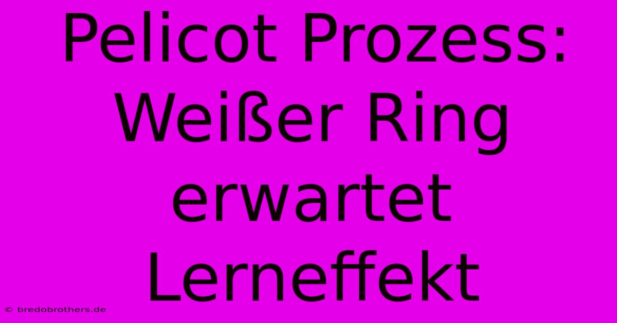 Pelicot Prozess: Weißer Ring Erwartet Lerneffekt