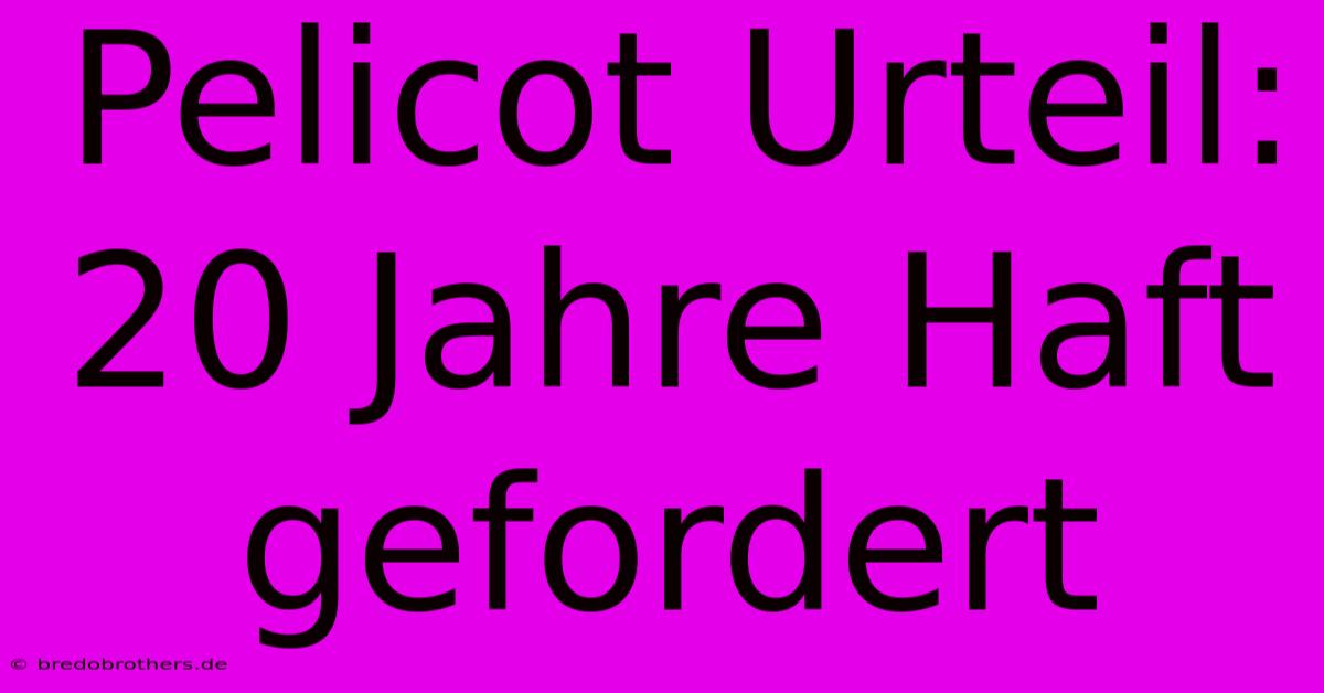 Pelicot Urteil: 20 Jahre Haft Gefordert