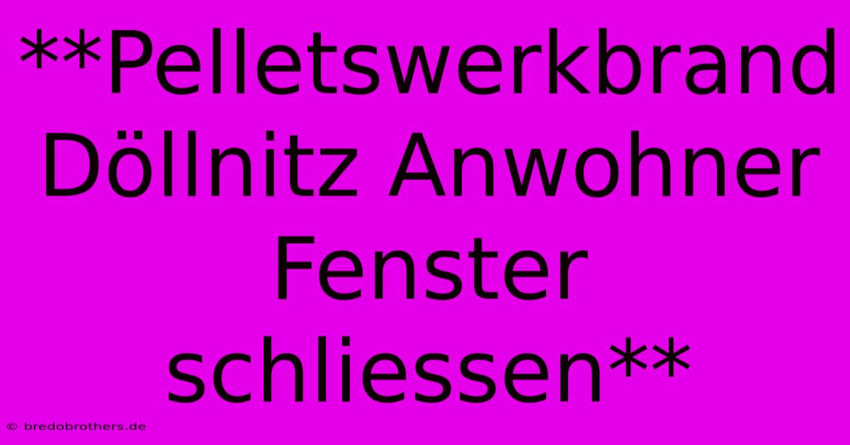 **Pelletswerkbrand Döllnitz Anwohner Fenster Schliessen**