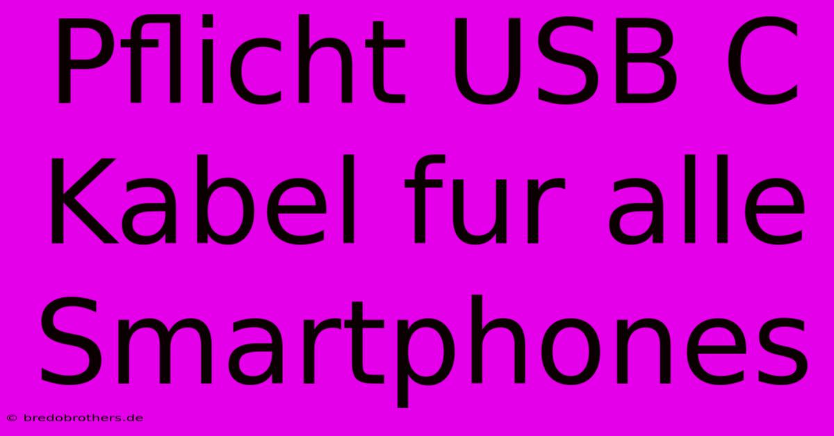 Pflicht USB C Kabel Fur Alle Smartphones