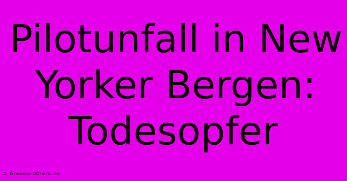 Pilotunfall In New Yorker Bergen: Todesopfer