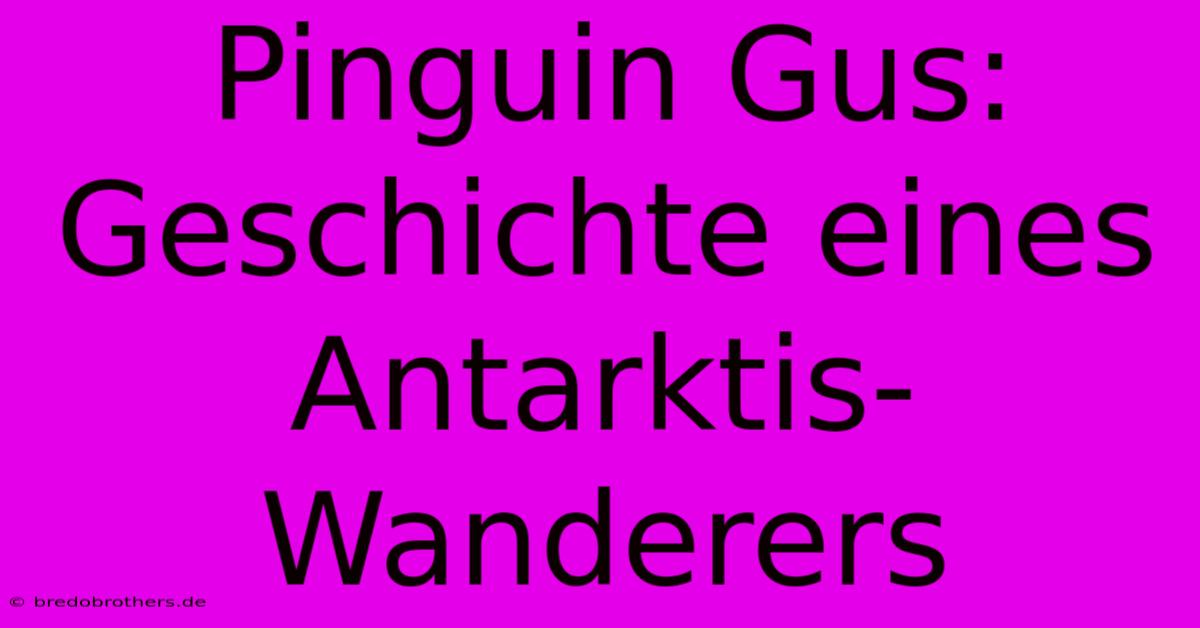 Pinguin Gus: Geschichte Eines Antarktis-Wanderers